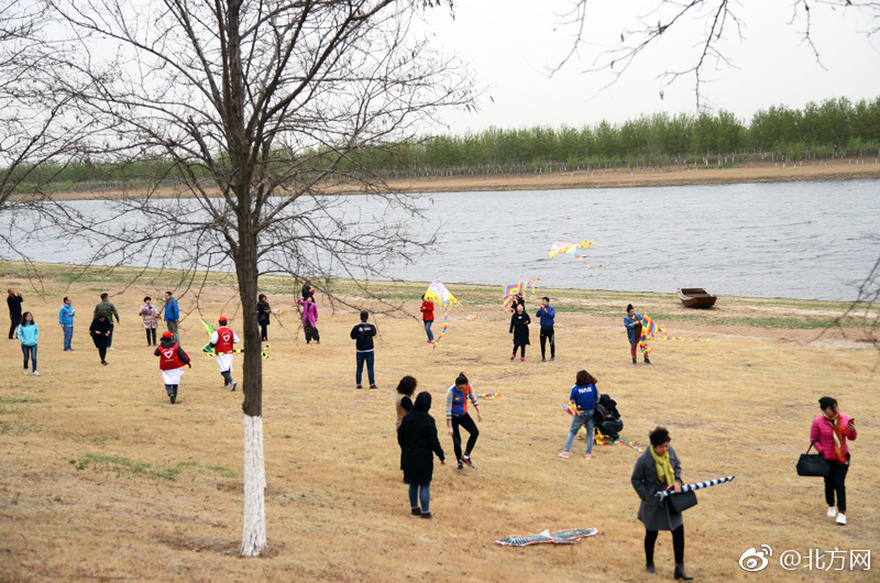 广告周CMO谈与网易战略合作