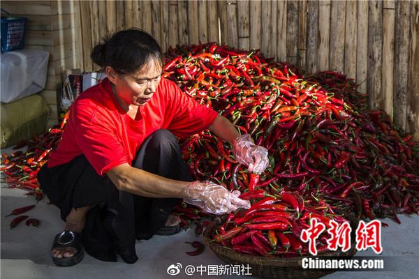 西方国家领导人未出席影响一带一路论坛举办？外交部驳斥_CAD云电脑