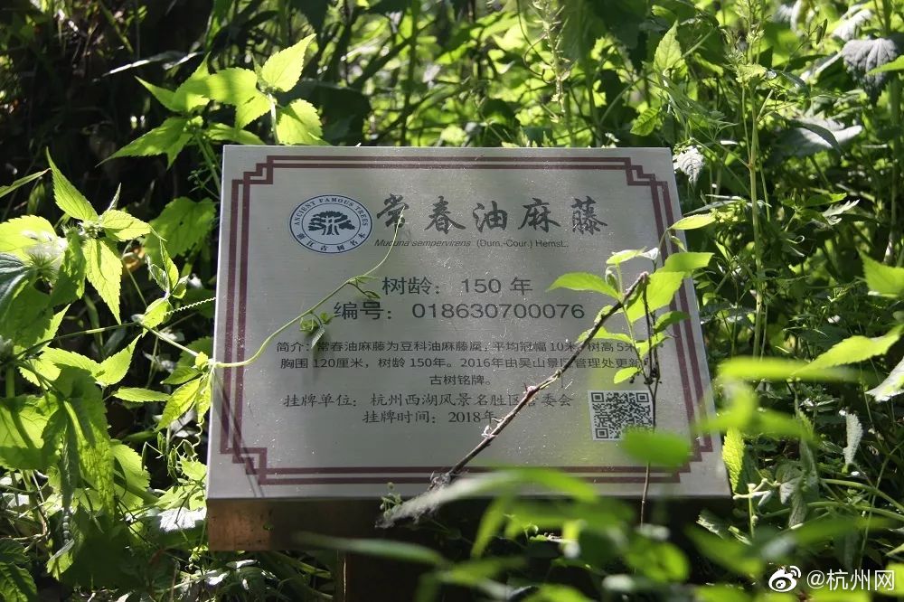 美国男子被自己养的大鸟杀死,他的100只神奇动物将被..._云服务器4核8G