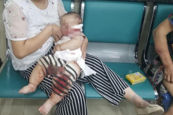苹果Q2净利116亿美元 库克:在华业绩好转了_CN2 GT线路特点