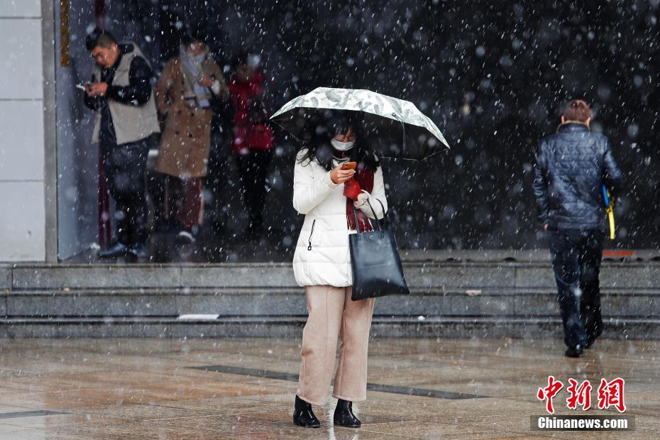 如何开通域名签约店铺_三网CN2服务器