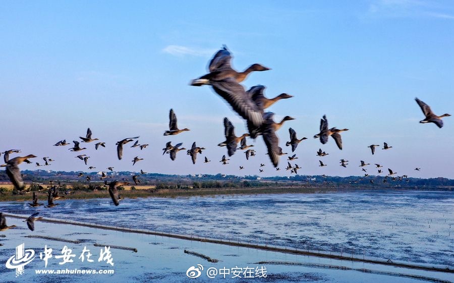 中纪委网站:五一期间 这些“活动”千万不能去_挂机宝解锁TikTok