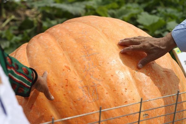《只狼:影逝二度》评测：宫崎美学,再登神坛_远程开发