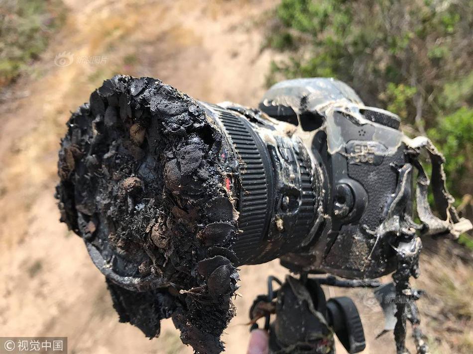美前军官:特朗普来给美国灭虫_9929联通用户