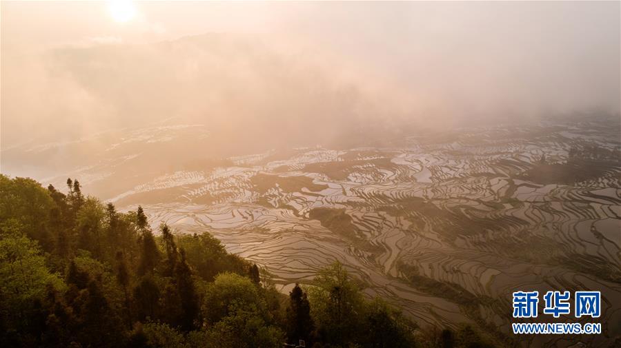 生于街头:发现街头摄影魅力