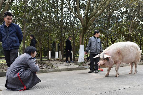 秦岭别墅拆除后支脉骊山又被曝现别墅群 官方回应