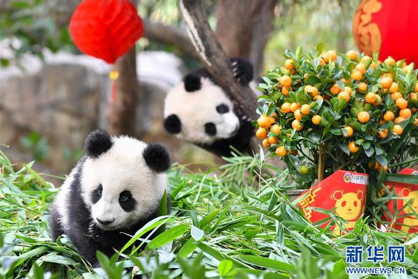 社保降费今起正式实施 今年社保还有三个大变化