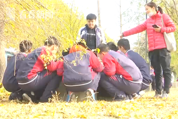 滴天居士2019年12生肖运势,谁万事顺利_美国CN2服务器推荐