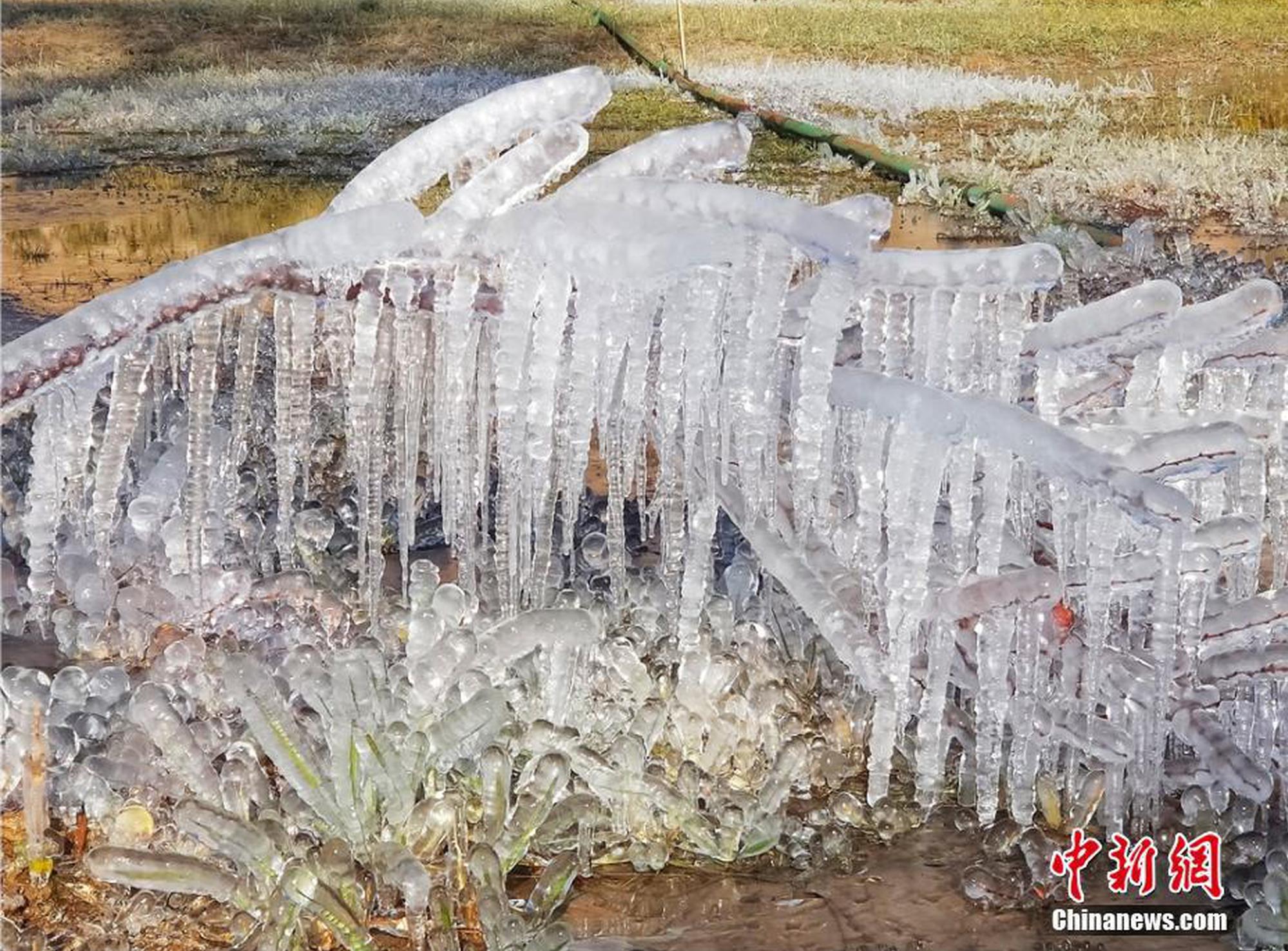 《体育》网易公布二季度未审计财务业绩