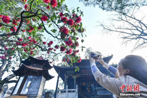 网页域名注册_云主机