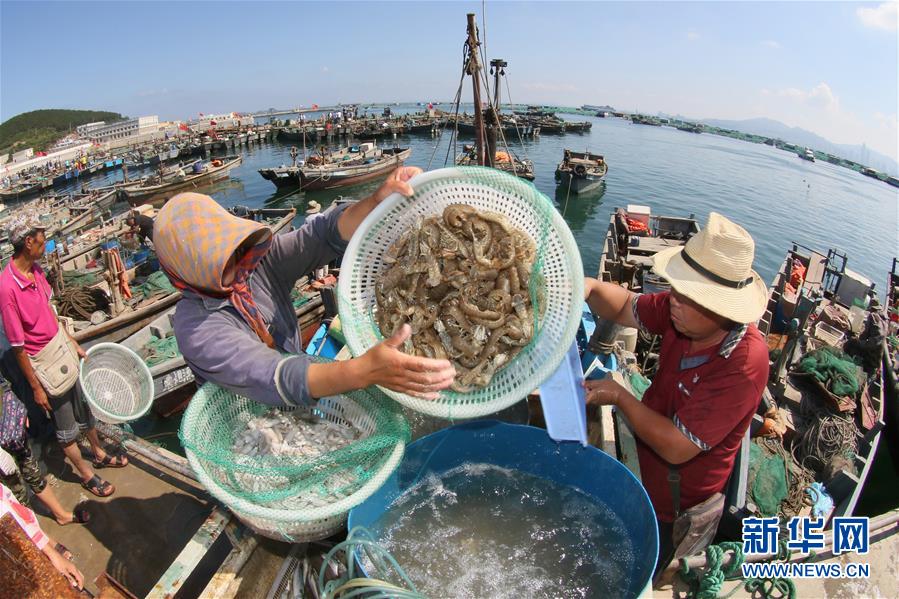 2019中国公开赛球星速绘画像之李张连伟_9929网络稳定性