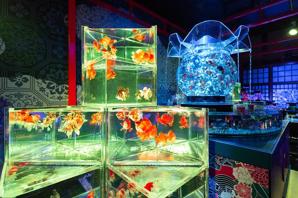 大学生办贷款小心这四种陷阱_七牛云服务器