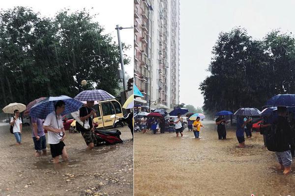 双十一爆款云服务器在哪领券