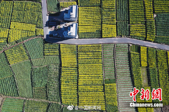 买别人的域名到期了怎么办_挂机宝自动任务