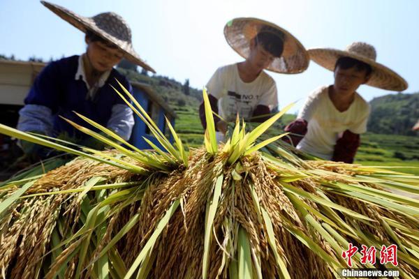 程鹤麟:世界都猜不透英国人的心_云电脑数据恢复