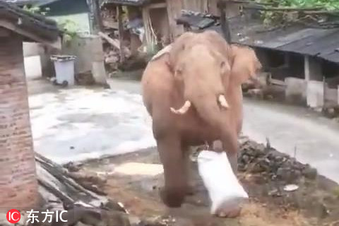 谈恋爱第一印象很重要? 先入为主或让你错失良缘
