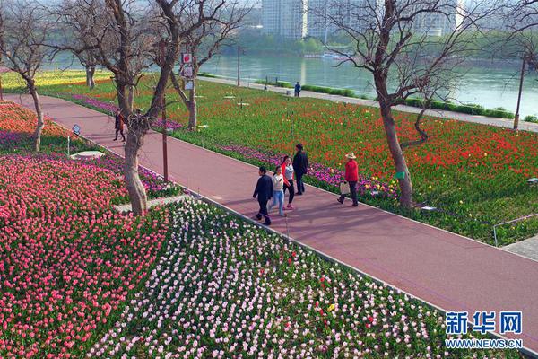 “浴室歌手”黄龄：歌红人不红 我却…_大连云服务器