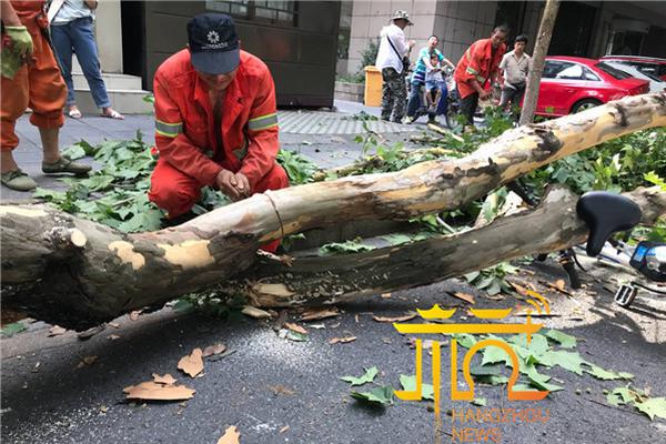 硬核孕妇怀孕七个月仍健身 举铁8小时