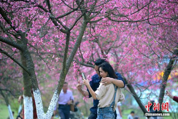 幸福小二居都市栖息地_挂机宝电商防关联