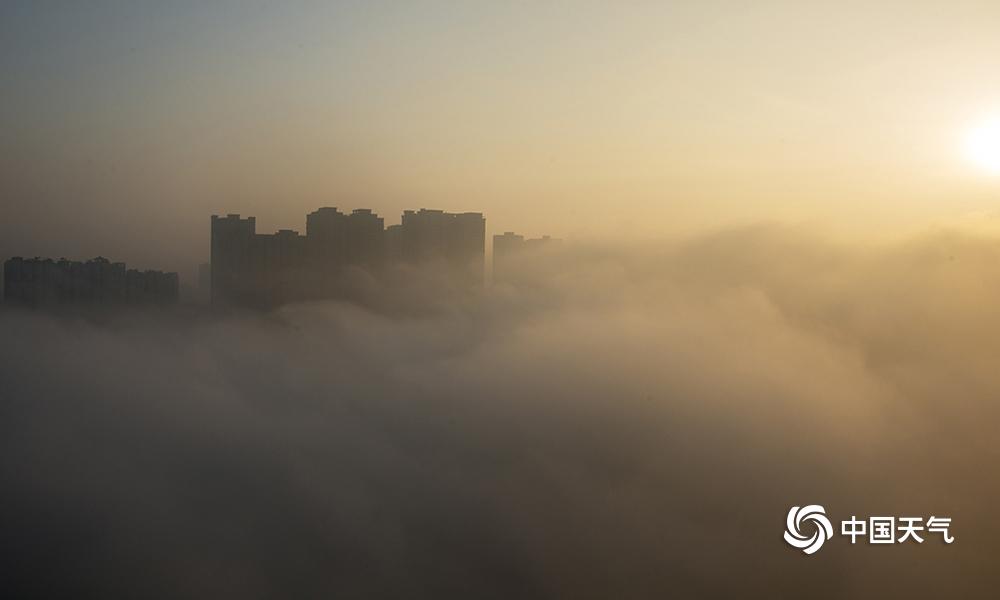 美国一大学突发多起枪击事件 已致2死4伤_南京云服务器
