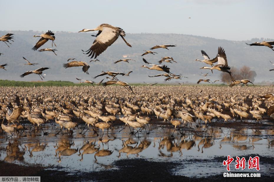 大盘将依生命线慢牛上行