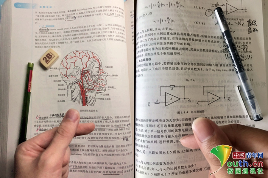 废物利用的艺术太有创意