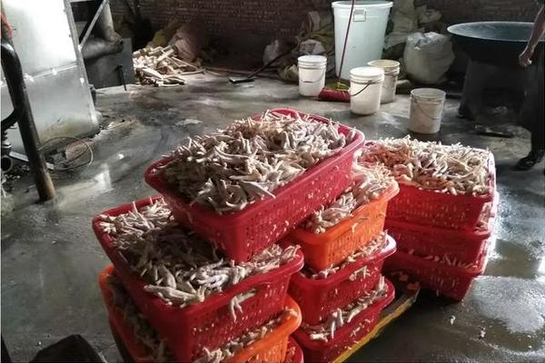 奔驰豪华越野皮卡车 X250d完爆福特猛禽_域名
