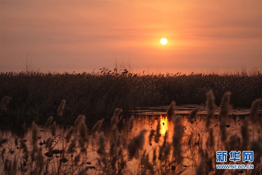 实力大比拼,宝来、朗逸、雷凌哪家强?_9929免备案