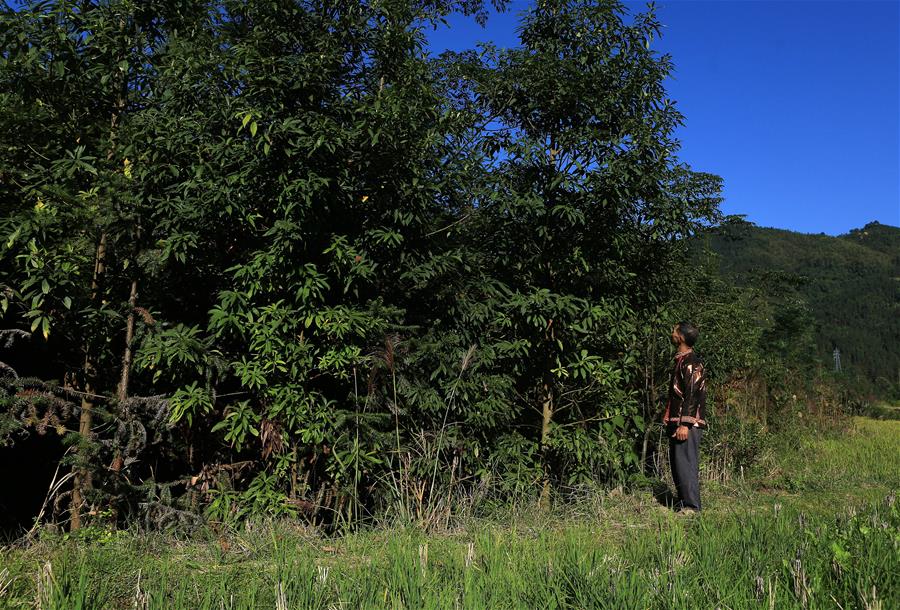 .CLICK域名_云服务器特价
