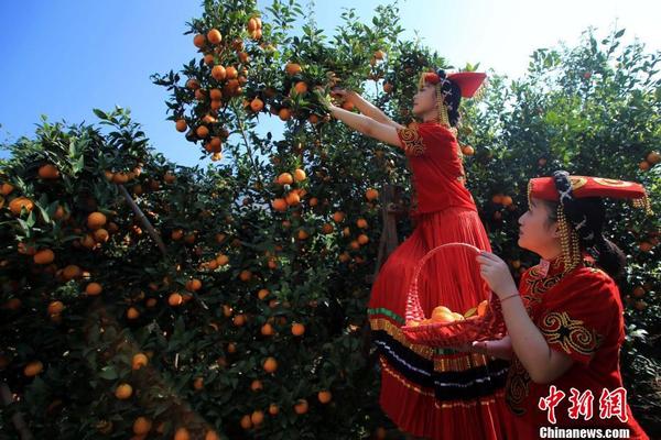 恒创云服务器怎么样_文件存储