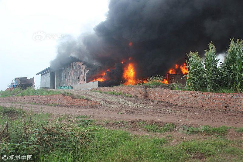 这部豆瓣7.9分的TVB热播剧,今晚迎来大结局只求别烂尾_网页域名
