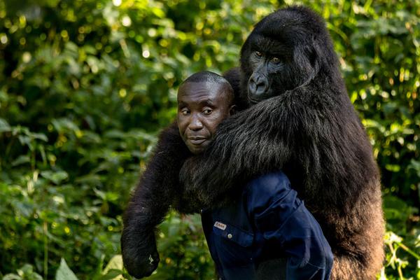 AMD第一季度营收达12.7亿美元_挂机宝单线