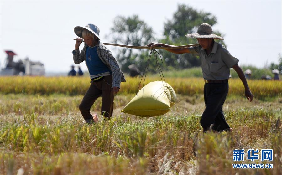 河南遇强降雨 9.8万人转移_9929云服务器