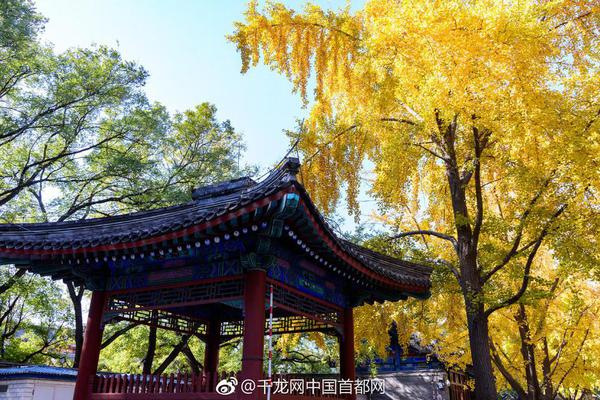 服务器上绑定多少域名最好_9929 KVM虚拟化