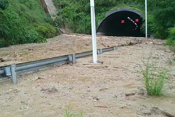 寡姐嘲讽绿巨人胆小如鼠 惊奇队长忆初吻经历