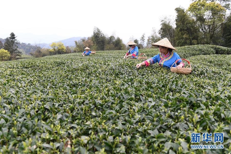 房价泡沫破灭 加拿大人付出代价:民众借钱买食物