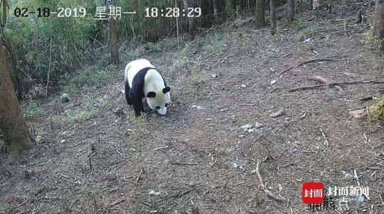 5类商标_挂机宝山东
