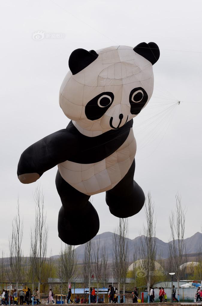 动态ip绑定域名_挂机宝跑脚本