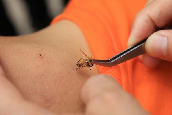 二战德国巨炮重1350吨炮弹重7吨