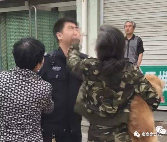 十年终圆梦! 刘诗雯4-2陈梦世乒赛女单封后