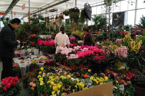美国云服务器购买_挂机宝抢购脚本