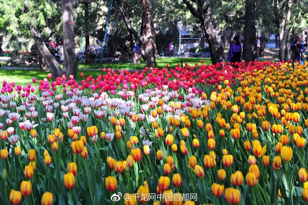 比伯约朋友压马路表情严肃