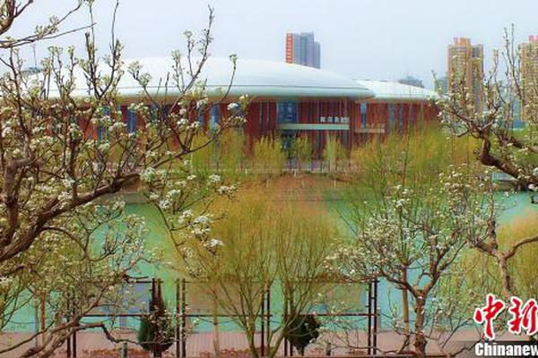 贾跃亭被调查:乐视网1700亿元市值消失 会赔偿吗