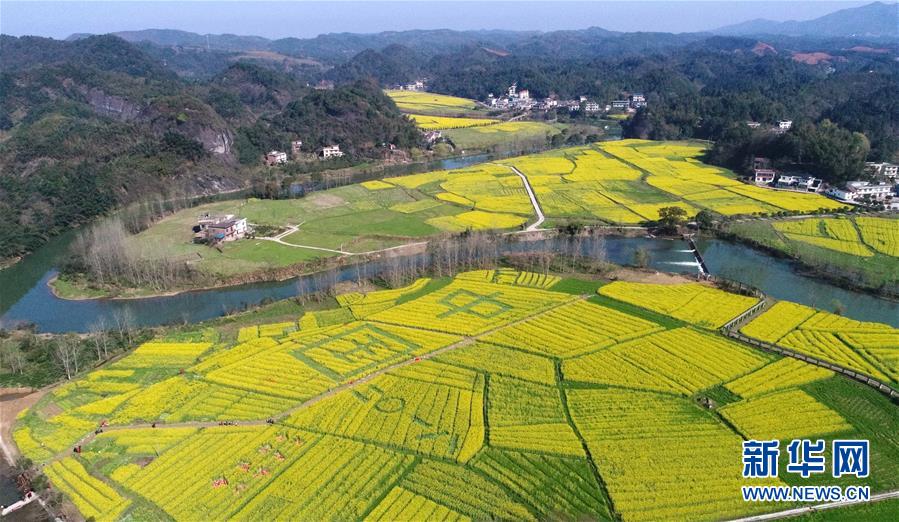 2024双11云主机哪里买更划算