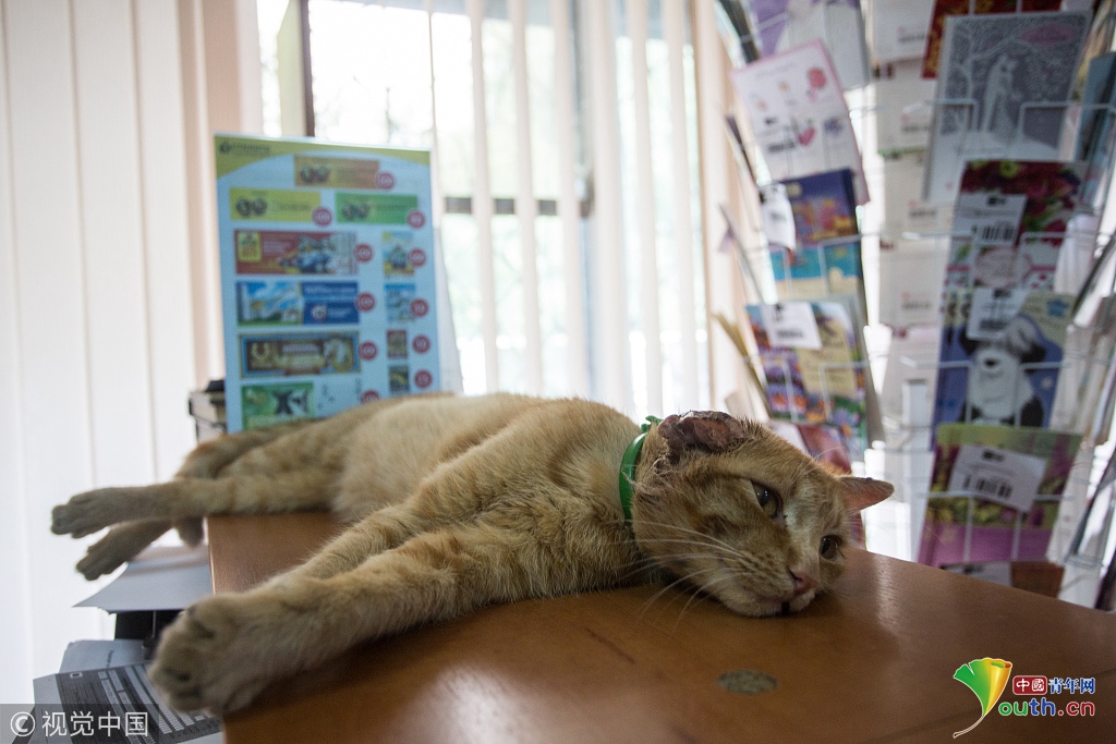 唐艺昕穿白衣戴白帽现身 笑容甜似蜜_CN2云主机