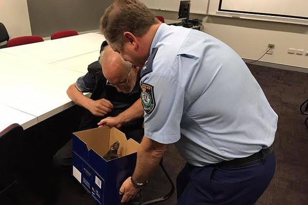 十亿遗产:我的人生赢家路_香港CN2 GIA