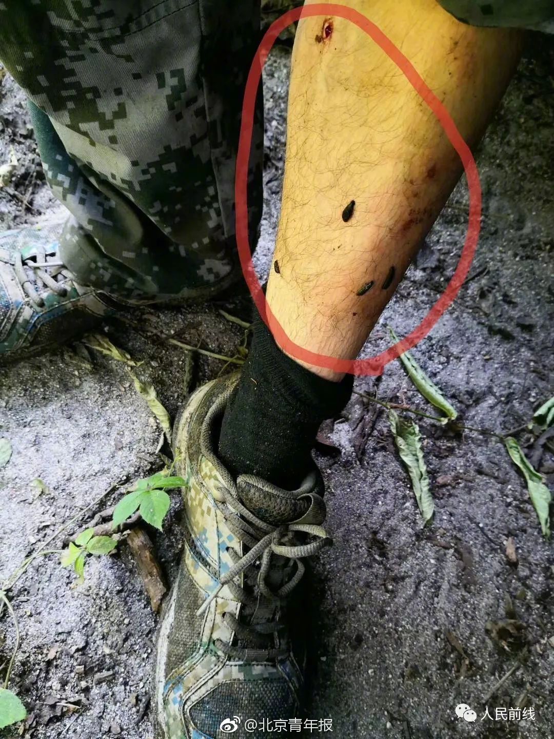 登记“副科级以上”家长信息，靠这能防住违规加分？_CN2业务服务器