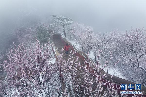 日本天皇德仁即位后首次讲话_9929路由追踪