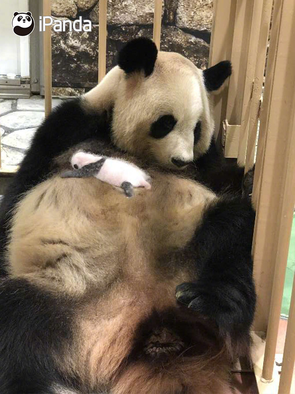 618云服务器购买_9929解锁ChatGPT