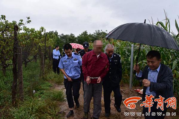 一分钱一分货？10万与30万的省油新车区别有多大！_云电脑黄金镜像